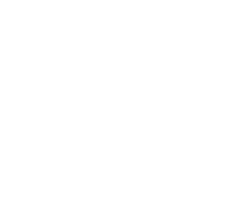 Виши суд у Неготину